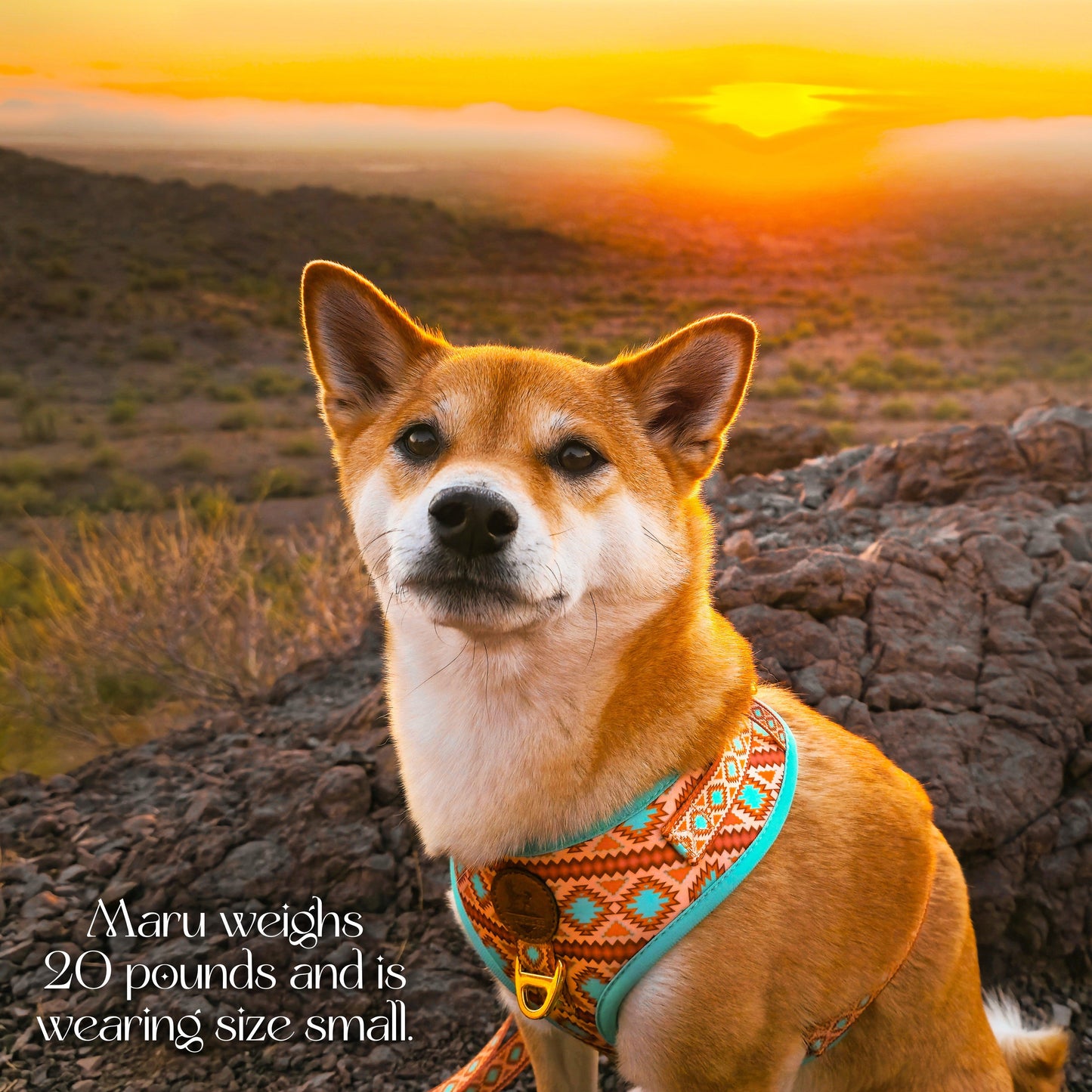 Southwest Spirit Harness