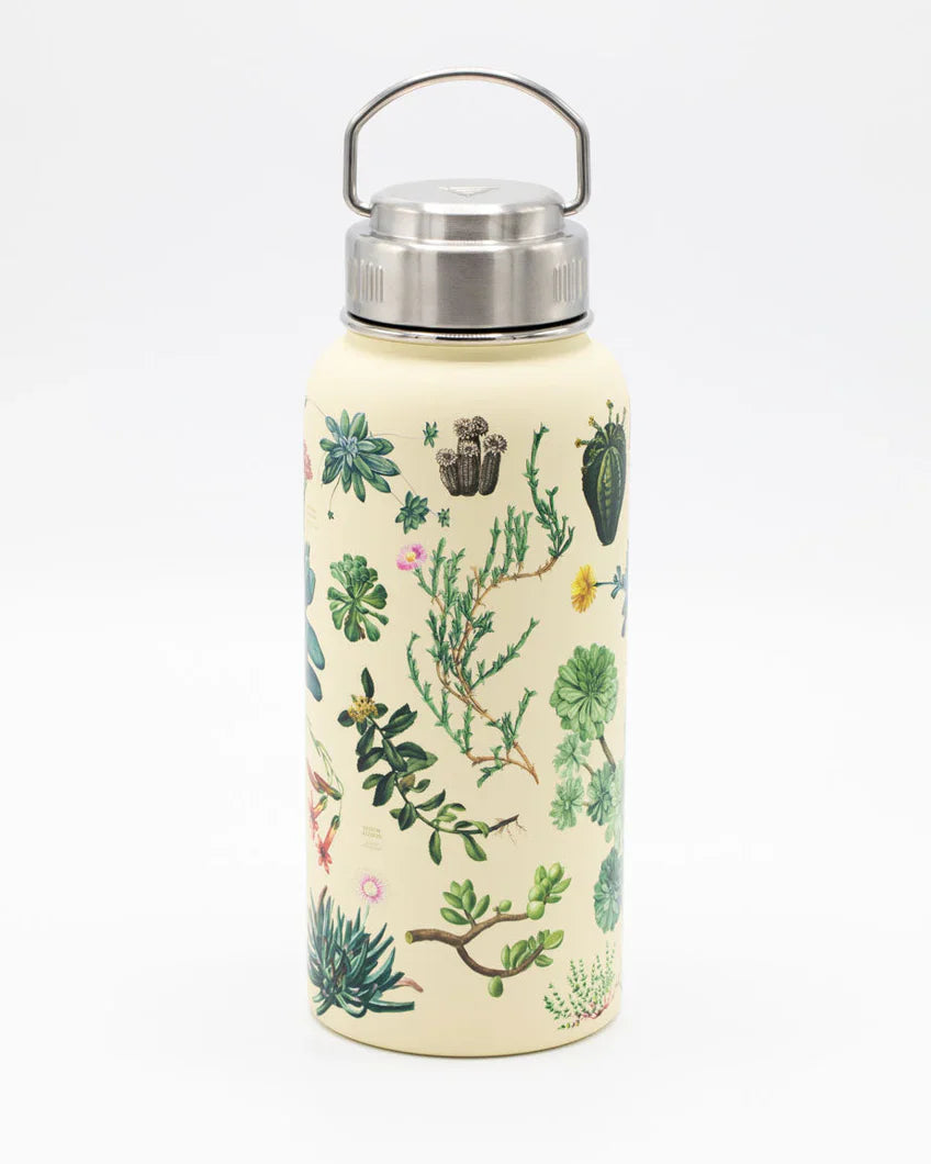 Water Bottle 32oz - Cactus & Succulents