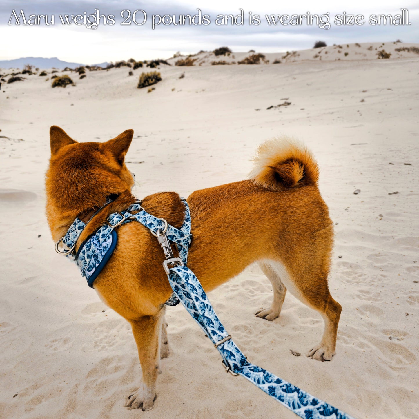 Great Wave Harness