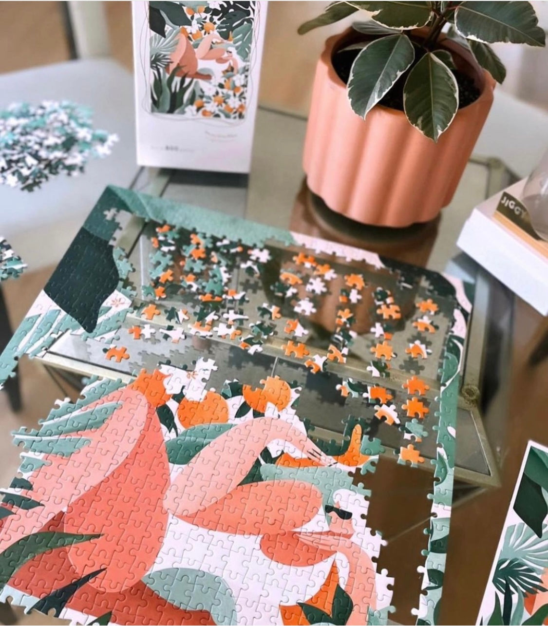 Plants Over Plans, Maggie Stephenson