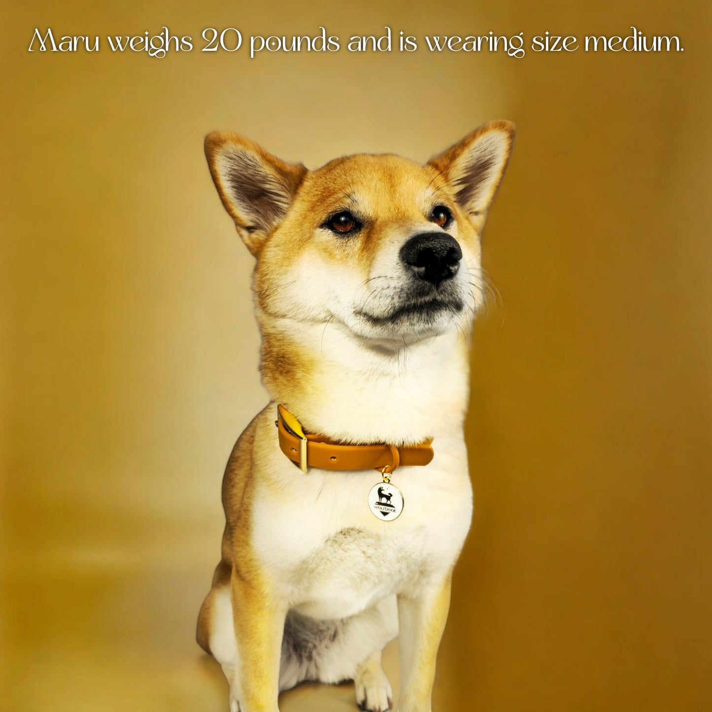 Waterproof Collar