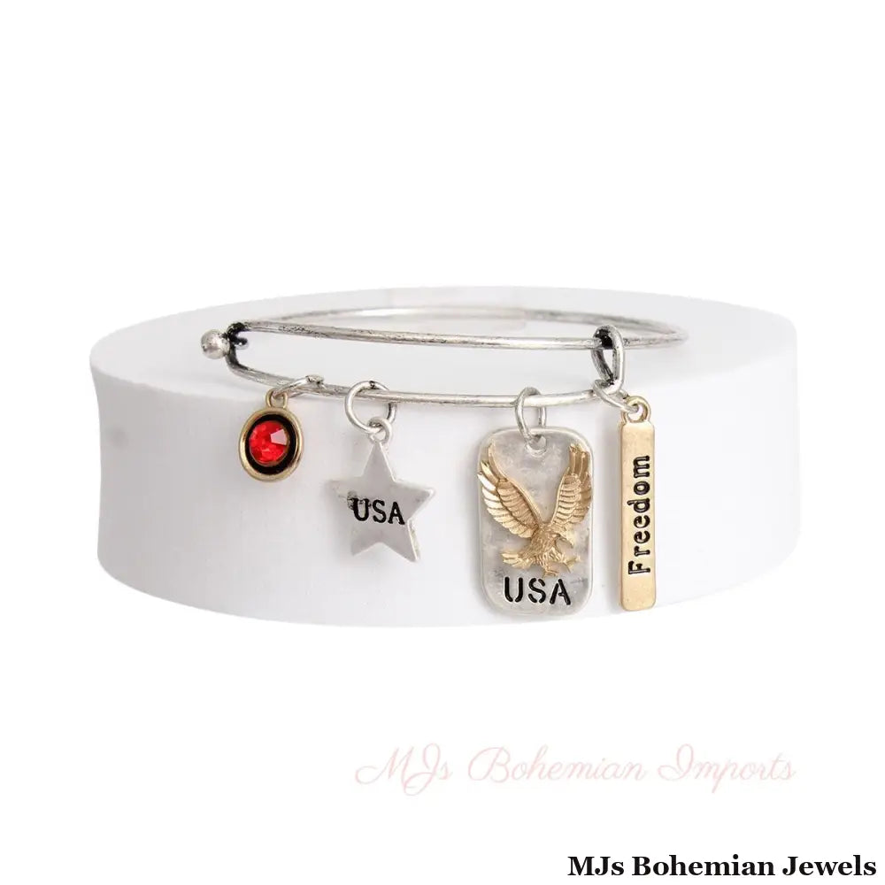 Burnished Silver American Charms Bangle