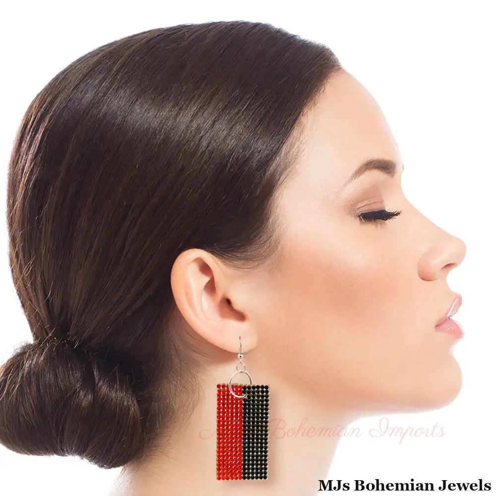 Silver Stunner: Stripe Stone Earrings