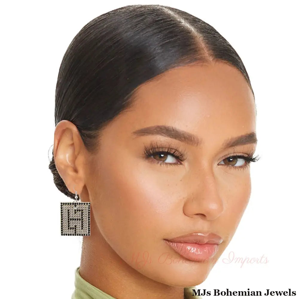 Sleek Silver Duality: Reversible Earrings